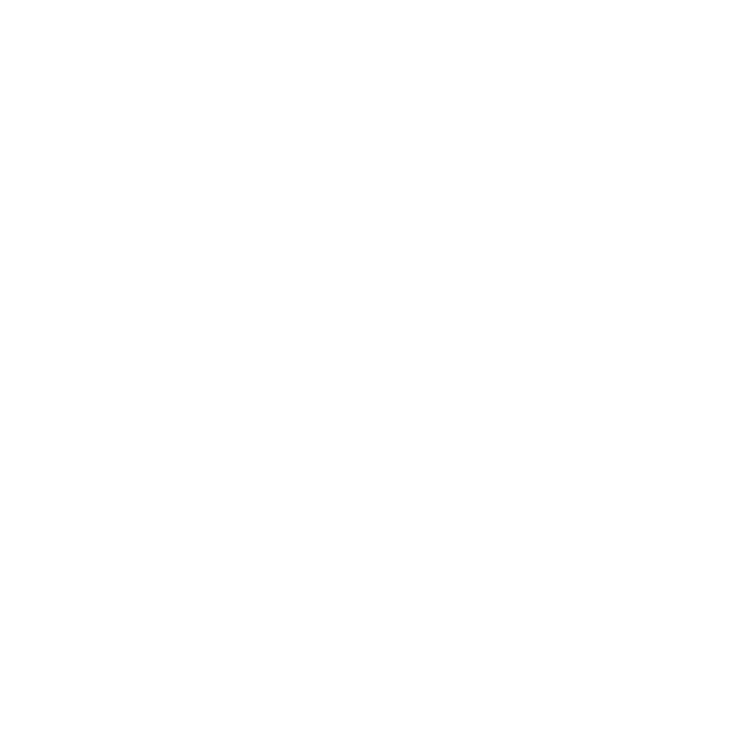 Sacred Mountain Fighting and Healing Arts logo
