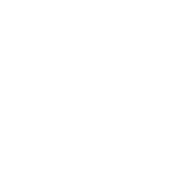 Artisan jiu jitsu & wrestling club logo