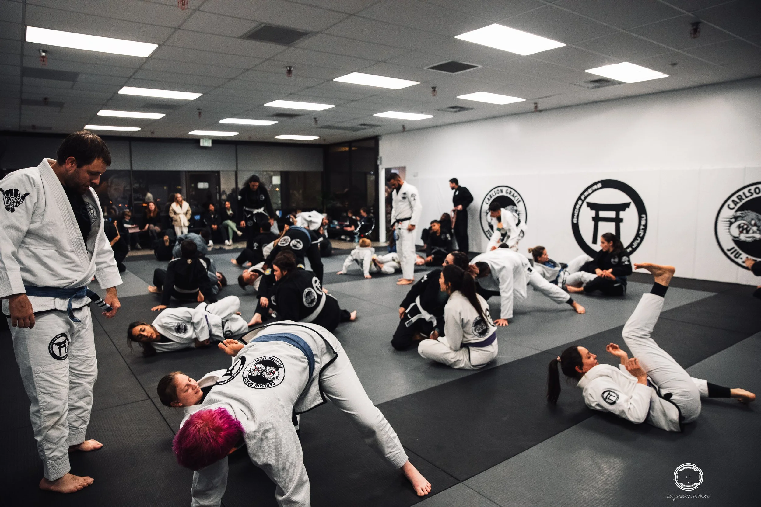 Carlson Gracie North Tucson logo