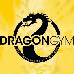 Dragon Gym | Kampfkunstschule Stuttgart logo