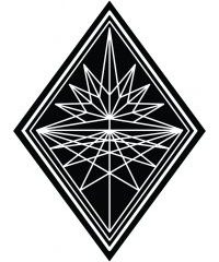 Robur Jiu Jitsu logo