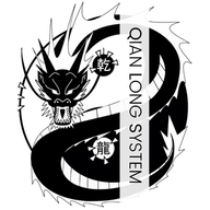 QLS MMA Basel - Qian Long System (Kung Fu, MMA, ATOS BJJ) logo