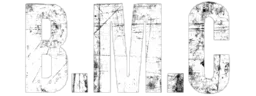 Bavarian MMA Center e.V. logo