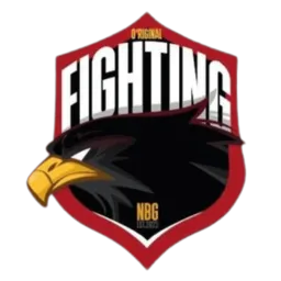 Original Fighting Nürnberg logo