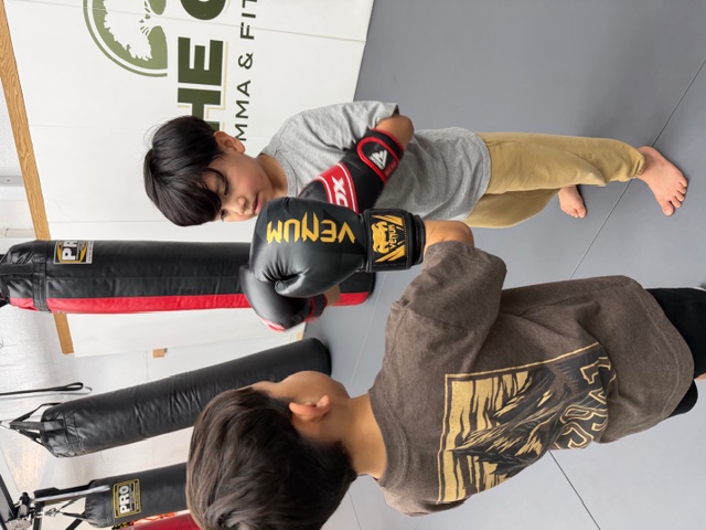 The Oak MMA & Fitness logo