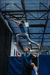 The Praxeum - Parkour x MMA logo