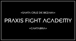 Praxis Fight Academy logo