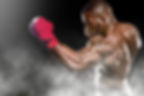 Colorado Victory MMA logo