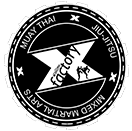 Factory X Muay Thai/MMA/BJJ logo