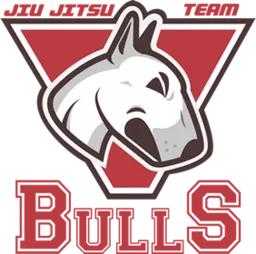 Bulls Jiu Jitsu Colorado logo