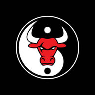 Bashta's Martial Arts logo