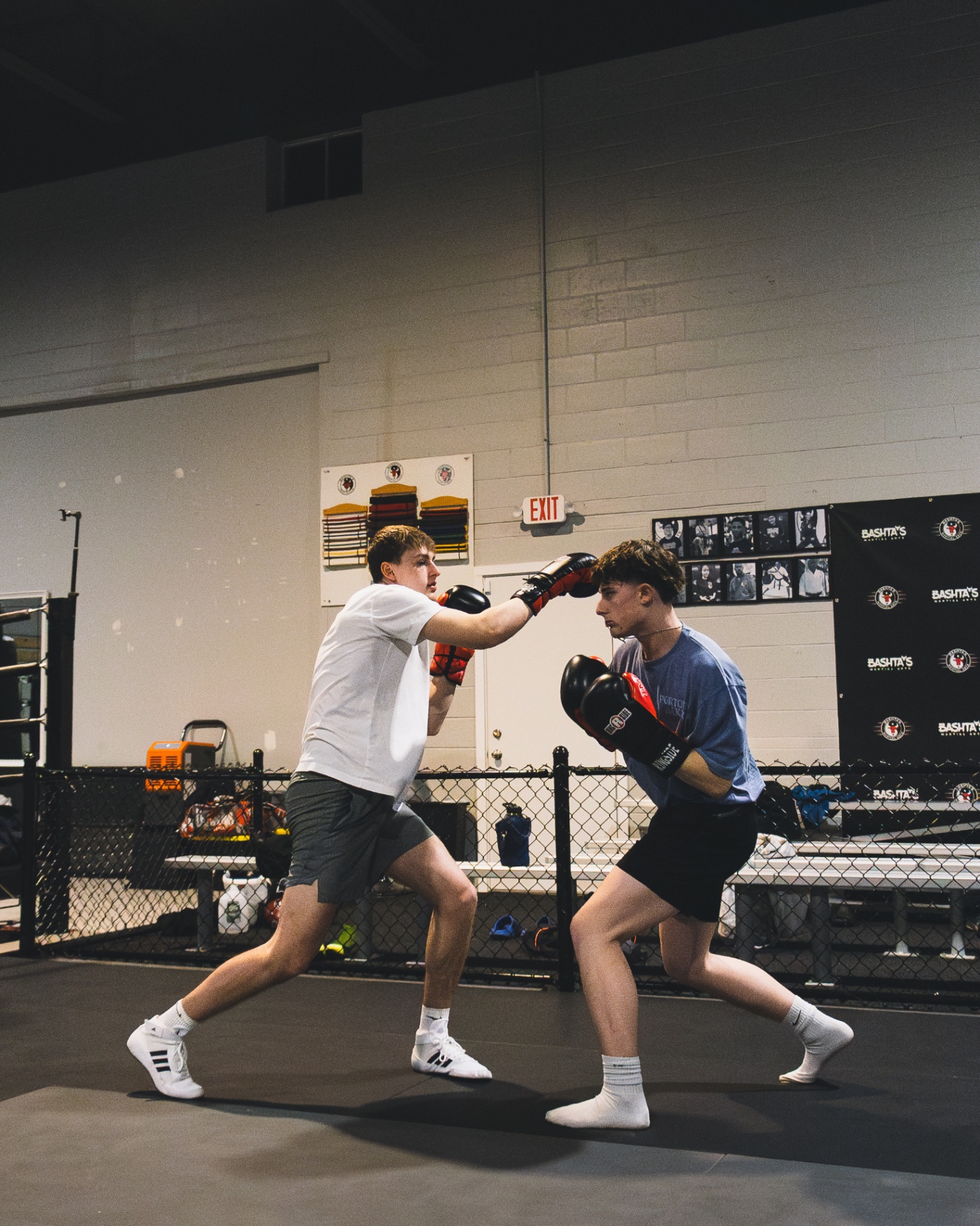 Coach Josh Boxing logo