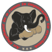 EIR Boxing & Fitness Academy logo