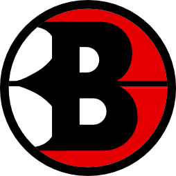 Bowman Systems MMA logo