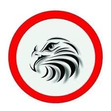 Eagle Fighting Center - Centro de Lutas Águia logo
