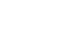 Fight Logic logo