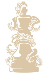 Levels Brazilian Jiu Jitsu logo
