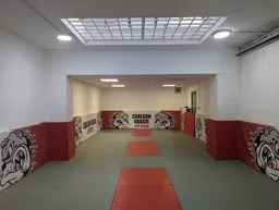 Carlson Gracie Jiu Jitsu Sheen logo