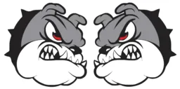 Carlson Gracie Team Clapham BJJ Academy logo
