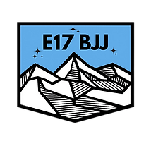 E17 BJJ, Brazilian Jiu-Jitsu Walthamstow logo