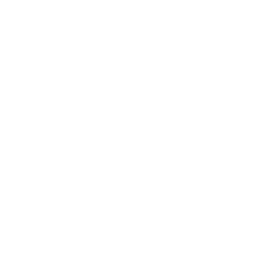VULKX Jiu-Jitsu Club Battersea logo