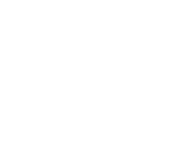Advanced Basics MMA Gym Manchester logo