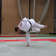 North Birmingham Judo and Jiujitsu logo