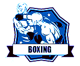 Hybrid Martial Arts logo