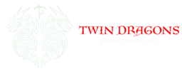 Twin Dragons Academy logo