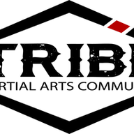 American Top Team Orlando logo