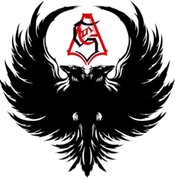 Combat Sports Academy logo