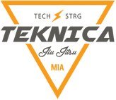 Teknica Martial Arts logo