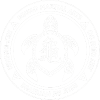 Bruno Martial Arts logo