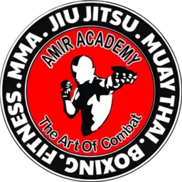 Amir Academy of Martial Arts logo