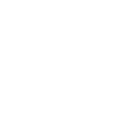 DaVinci Jiu Jitsu logo