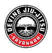 Devine Jiu Jitsu Savannah & Five Star Wrestling logo