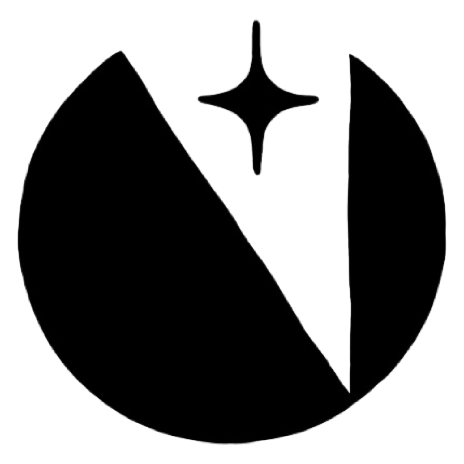 VSSL UNION logo
