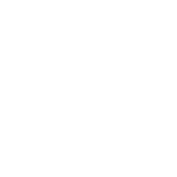 Gracie Jiu-Jitsu Gernsheim logo