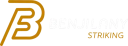 Benjilany striking - Muay Thai - kickboxing & MMA chicago logo