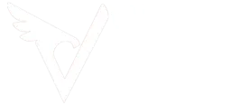 Valko Jiu Jitsu Studio logo