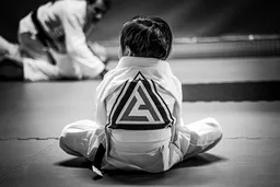 Living Art Brazilian Jiu Jitsu logo