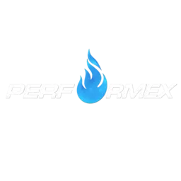 Performex Martial Arts and Fitness logo