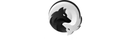 FLOW Brazilian Jiu-Jitsu logo