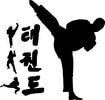 Geist Martial Arts logo