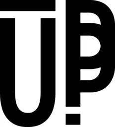 Level UP Fight & Fitness logo