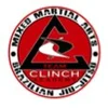 Clinch Academy logo