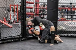 SBY MMA AND FITNESS / SOUTHSIDE BJJ ACADEMY logo