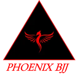 Phoenix BJJ Brazilian Jiu Jitsu Martial Arts School logo