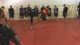 Trifecta MMA logo