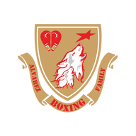 Alvarez Family Boxing logo